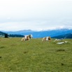 AltoAdige08_84_2*.jpg