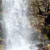 DSCF0476.JPG